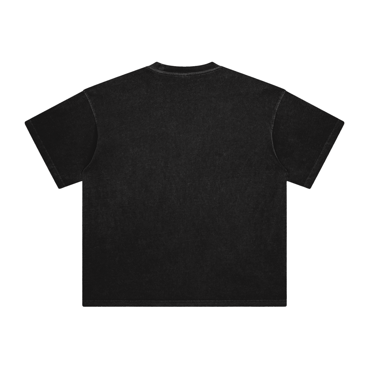 LongFlight Enzyme Washed Relaxed Tee